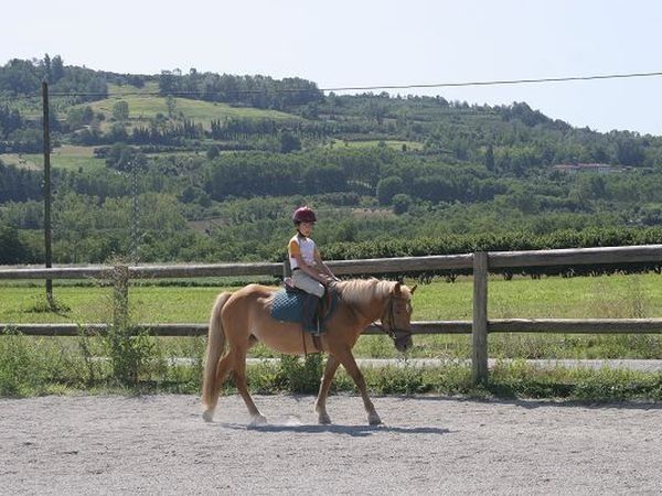 Agriturismo Isorella - foto 8918.jpg