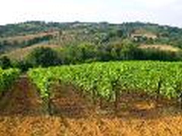 Agriturismo Villa Certano - foto 8946.jpg