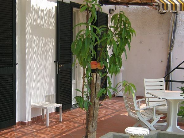 Eden Holiday - foto 9090.jpg