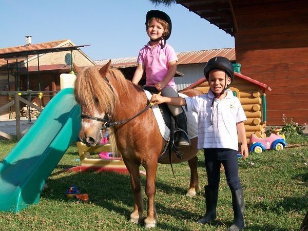 B&B centro ippico Andrea - foto 9128.jpg