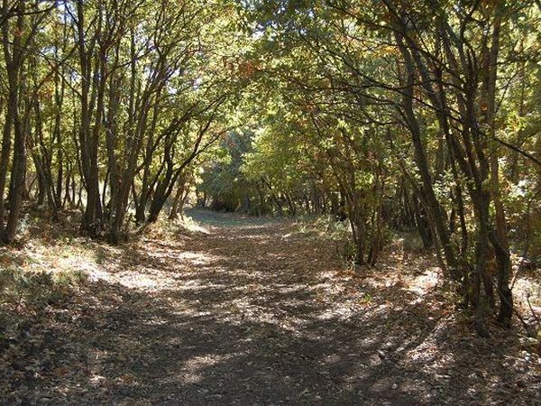 Agriturismo Carrera della Regina - foto 1706.jpg