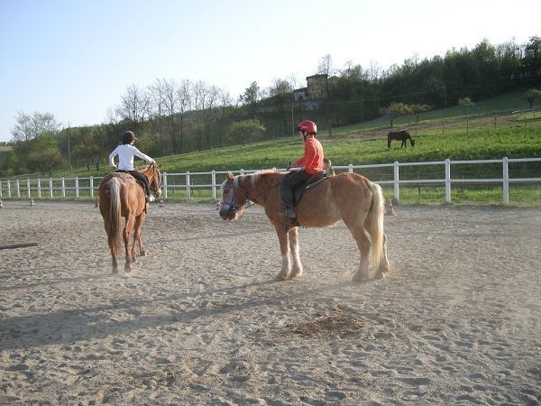 Da Nonna Carla - foto 9188.jpg