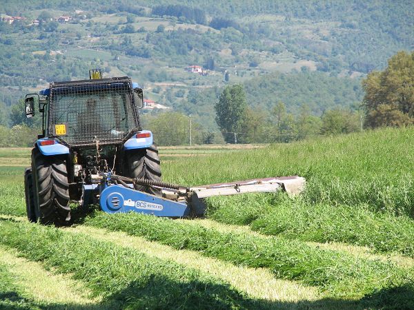 Fattoria di Marena - foto 9336.jpg