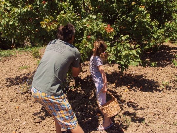 Agriturismo Casa Gialla - foto 9381.jpg