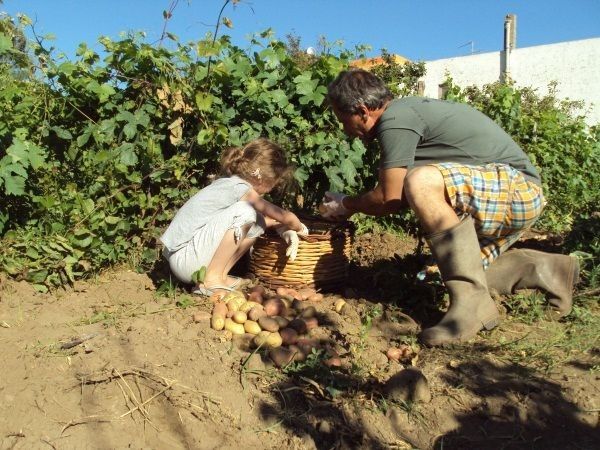 Agriturismo Casa Gialla - foto 9382.jpg