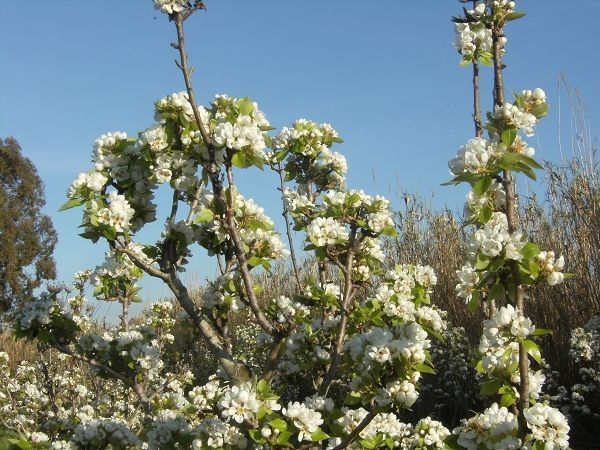 Agriturismo Angolo Azzurro - foto 9594.jpg