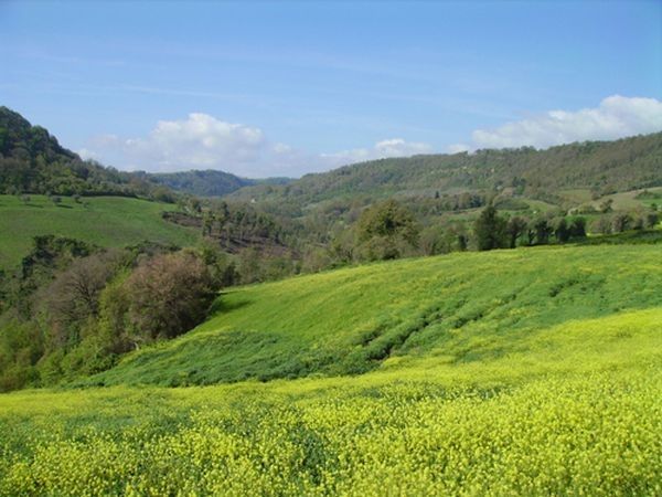 Fontana Mancina´ - foto 9625.jpg