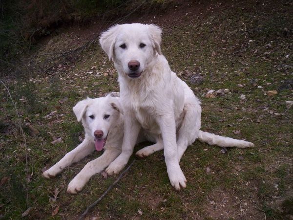 Monte degli Elci - foto 9693.jpg