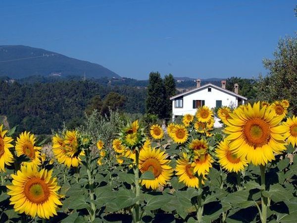 Agriturismo Il Manoscritto - foto 9698.jpg
