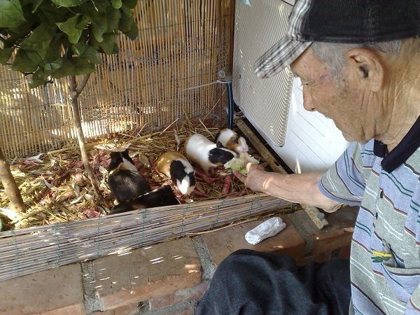Spiaggia Calypso  Relax - foto 1812.jpg