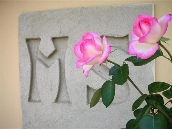 Farm Holiday Villa Manetti