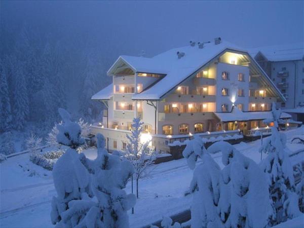 Family hotel Erica