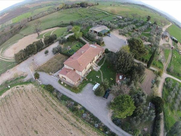 Podere i Sodi - Magliano in Toscana (GR)