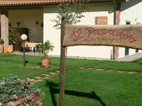Il Papavero