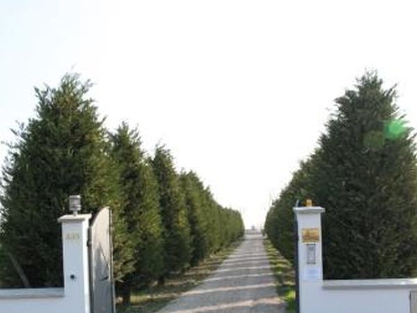 Il Giardino di Rebecca - Ferrara (FE)