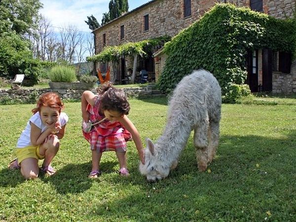 Agriturismo Maridiana Alpaca - Umbertide (PG)