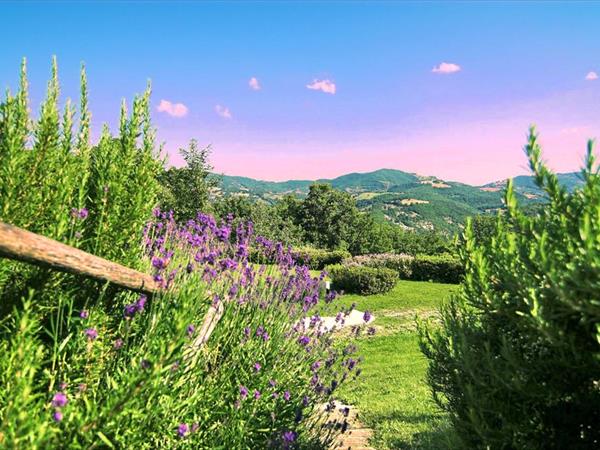Bauernhof La Castellana - Assisi (PG)