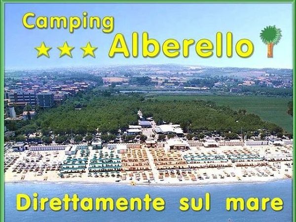 Campeggio  Alberello