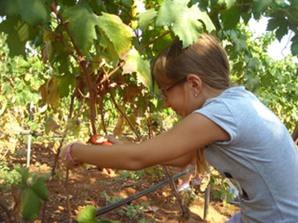 Agriturismo Masseria Signora Porzia 