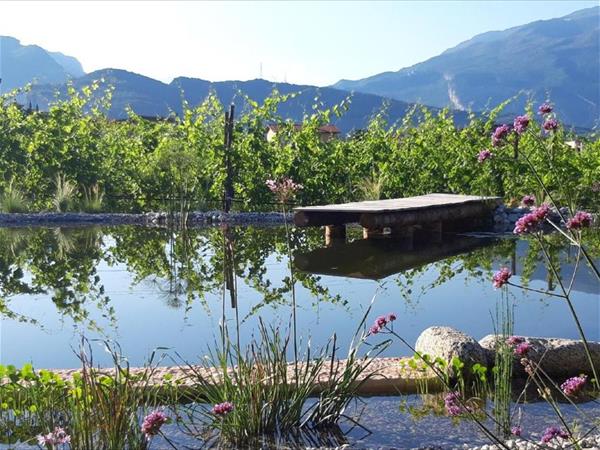 Agritur Fiore dUlivo - Riva del Garda (TN)