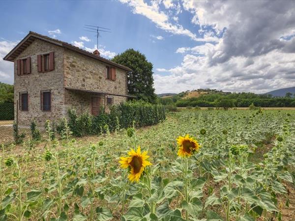 Bauernhaus Gli Arrighi - Umbertide (PG)