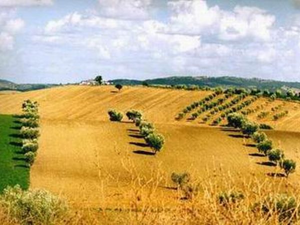 Agriturismo San Leonardo