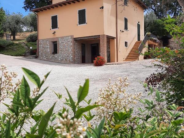 Agriturismo Il Truffarello TODI - Todi (PG)