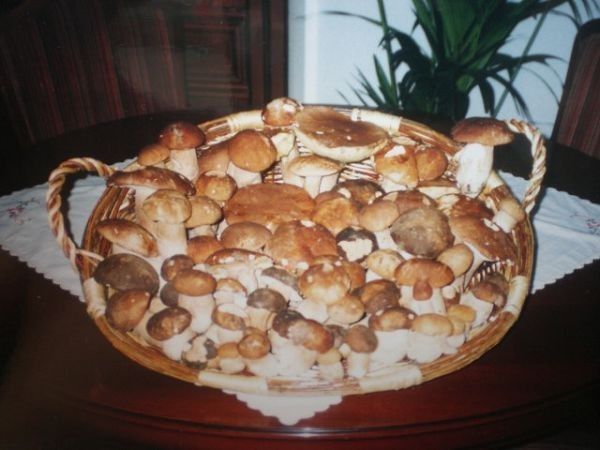 Agriturismo Casalina Ristorante - foto 7996.jpg