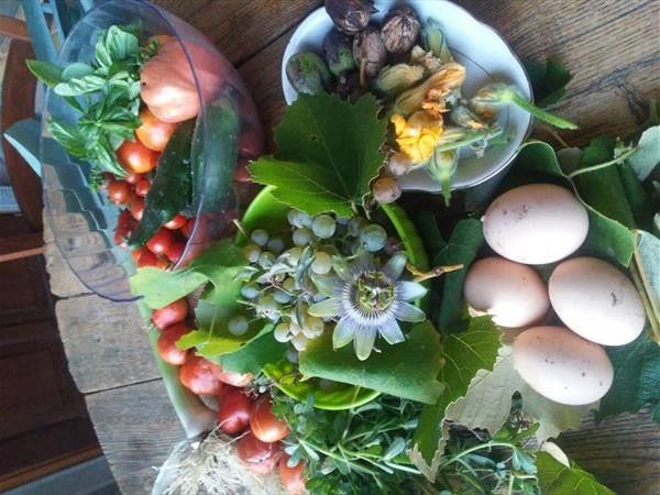 Agriturismo Lucatello  - foto 8481.jpg