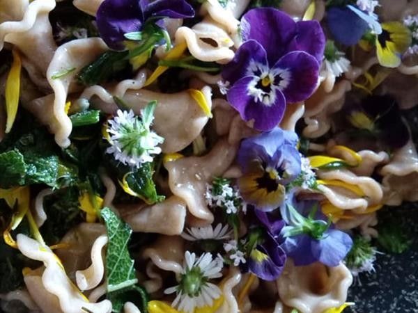 Agriturismo Lucatello  - foto 8484.jpg