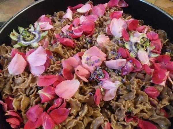 Agriturismo Lucatello  - foto 8490.jpg