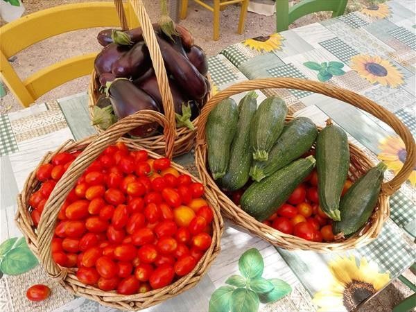 Agriturismo I Girasoli - foto 8598.jpg