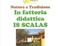 Agriturismo Is Scalas - Fattoria Didattica