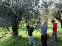 Az. Agricola Torre Bianca